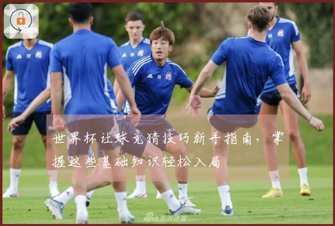 世界杯让球竞猜技巧新手指南，掌握这些基础知识轻松入局