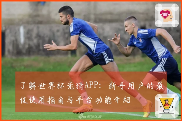 了解世界杯竞猜APP：新手用户的最佳使用指南与平台功能介绍