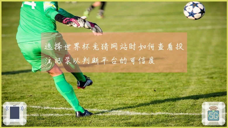 选择世界杯竞猜网站时如何查看投注记录以判断平台的可信度
