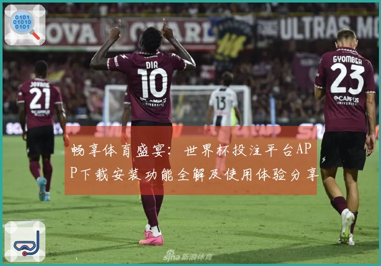 畅享体育盛宴：世界杯投注平台APP下载安装功能全解及使用体验分享