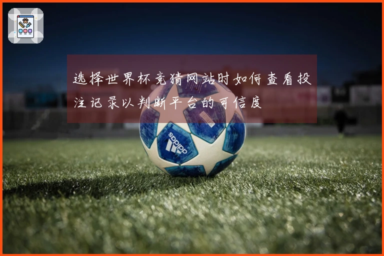 选择世界杯竞猜网站时如何查看投注记录以判断平台的可信度