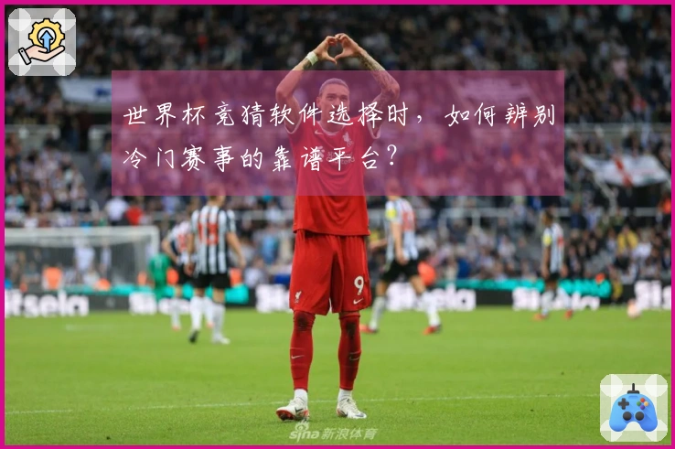 世界杯竞猜软件选择时，如何辨别冷门赛事的靠谱平台？
