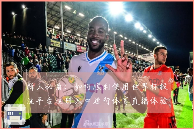 新人必看：如何顺利使用世界杯投注平台注册入口进行体育直播体验