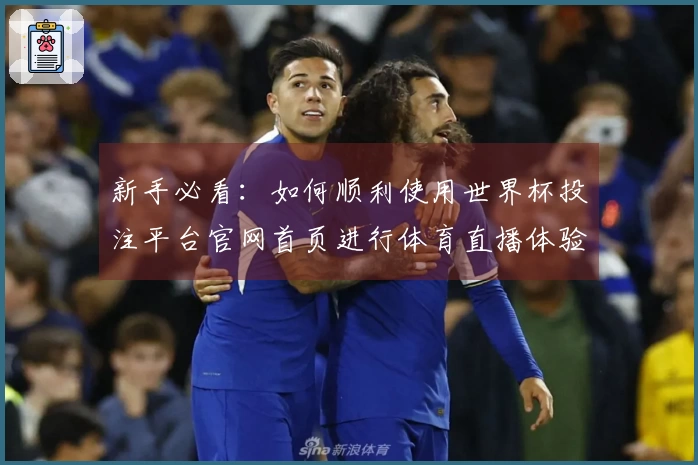新手必看：如何顺利使用世界杯投注平台官网首页进行体育直播体验