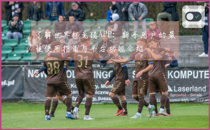 了解世界杯竞猜APP：新手用户的最佳使用指南与平台功能介绍
